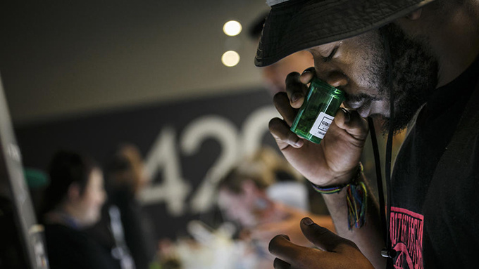 Dân California xếp hàng trắng đêm đầu năm mới để mua cần sa